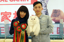 Victoria to kitten show 1228